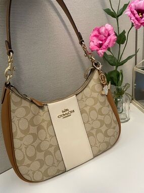 Coach Large Teri Hobo Signature Canvas Shoulder Bag